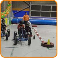 KARTS ECOLOGICOS